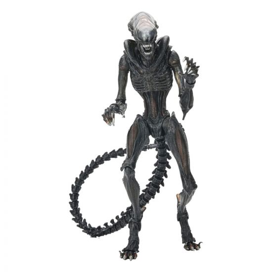 Alien: Romulus Ultimate Akční figurka Scorched Xenomorph 18 cm - Kliknutím na obrázek zavřete