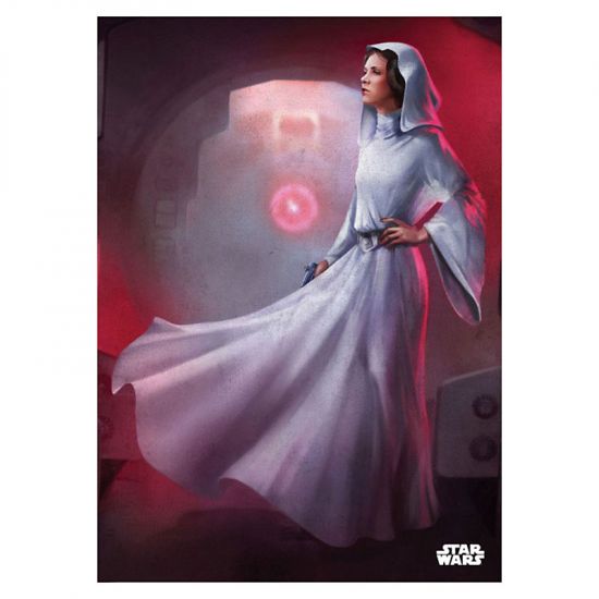 Star Wars kovový plakát Princess Leia 32 x 45 cm - Kliknutím na obrázek zavřete