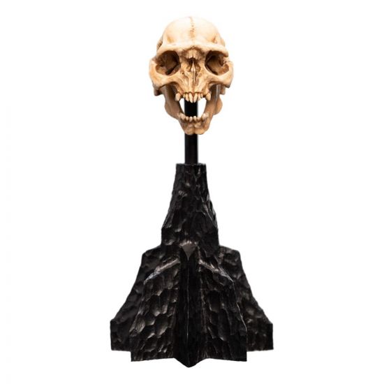 Lord of the Rings Mini Socha Skull of a Moria Orc 13 cm - Kliknutím na obrázek zavřete