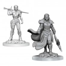 D&D Nolzur's Marvelous Miniatures Unpainted Miniatures 2-Pack Or