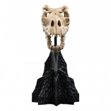 Lord of the Rings Mini Socha Skull of a Fell Beast 21 cm