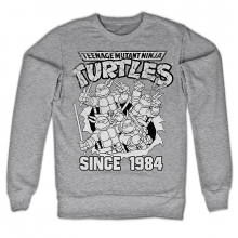 Teenage Mutant Ninja Turtles Sweatshirt Distressed Since 1984