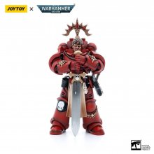 Warhammer 40k Akční figurka 1/18 Blood Angels Veteran Salus 12 c