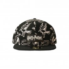 Harry Potter Snapback kšiltovka Heraldic Animals BW