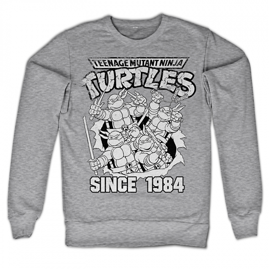 Teenage Mutant Ninja Turtles mikina Distressed Since 1984 - Kliknutím na obrázek zavřete