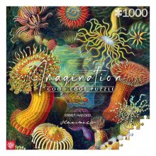 Ernst Haeckel Imagination Puzzle Sea Anemones/Stworzenia morskie