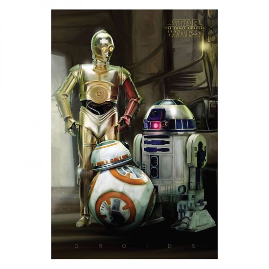 Plakát Star Wars Episode VII Droids 61 x 91 cm - Kliknutím na obrázek zavřete