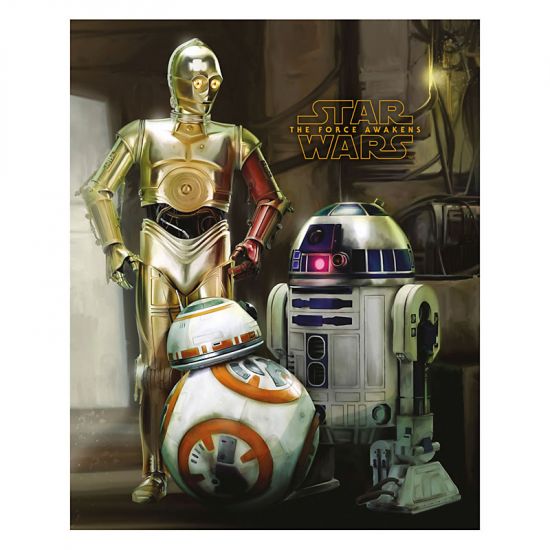 Star Wars Episode VII mini plakát Droids 40 x 50 cm - Kliknutím na obrázek zavřete