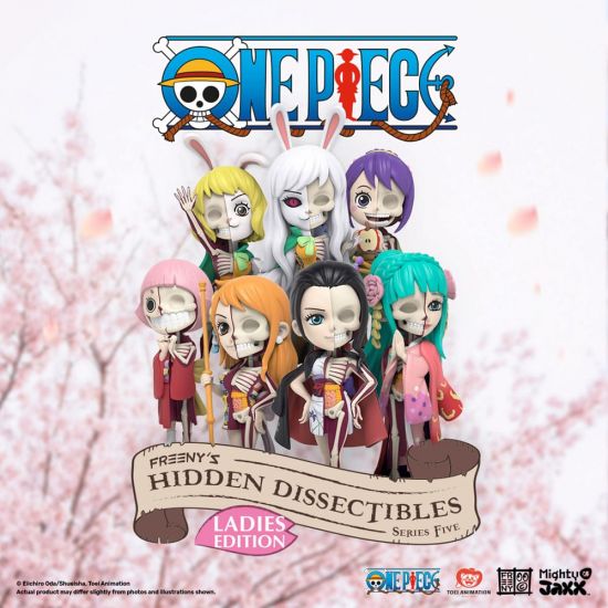 One Piece Blind Box Hidden Dissectibles Series 5 (Ladies ed.) Di - Kliknutím na obrázek zavřete